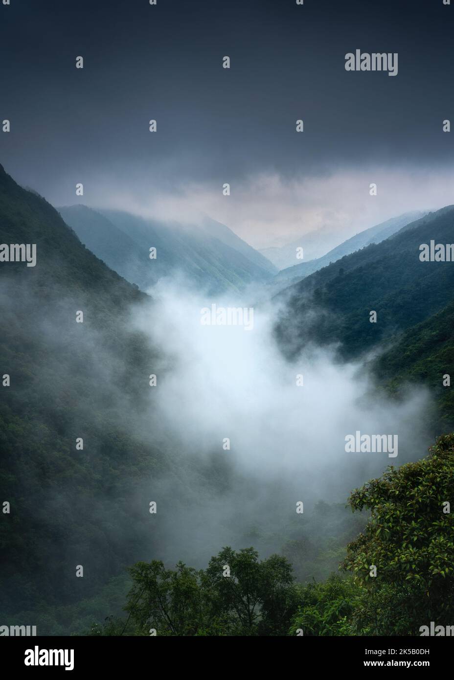 A vertical shot of a valley with fog and trees in cloudy weather Stock ...