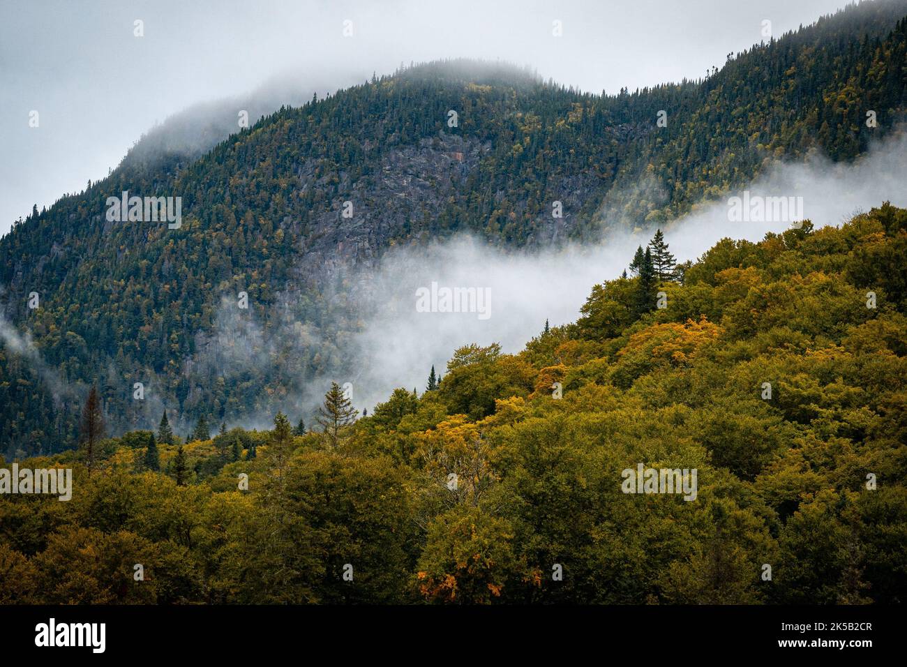 An aerial view of dense green mountain forests partially in fog Stock ...