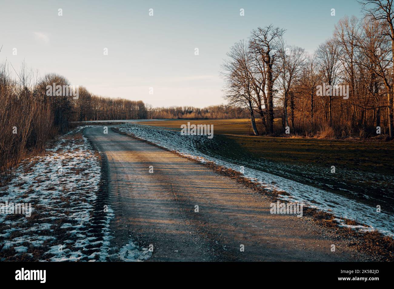 An aerial view of road surrounded by growing dense trees Stock Photo ...