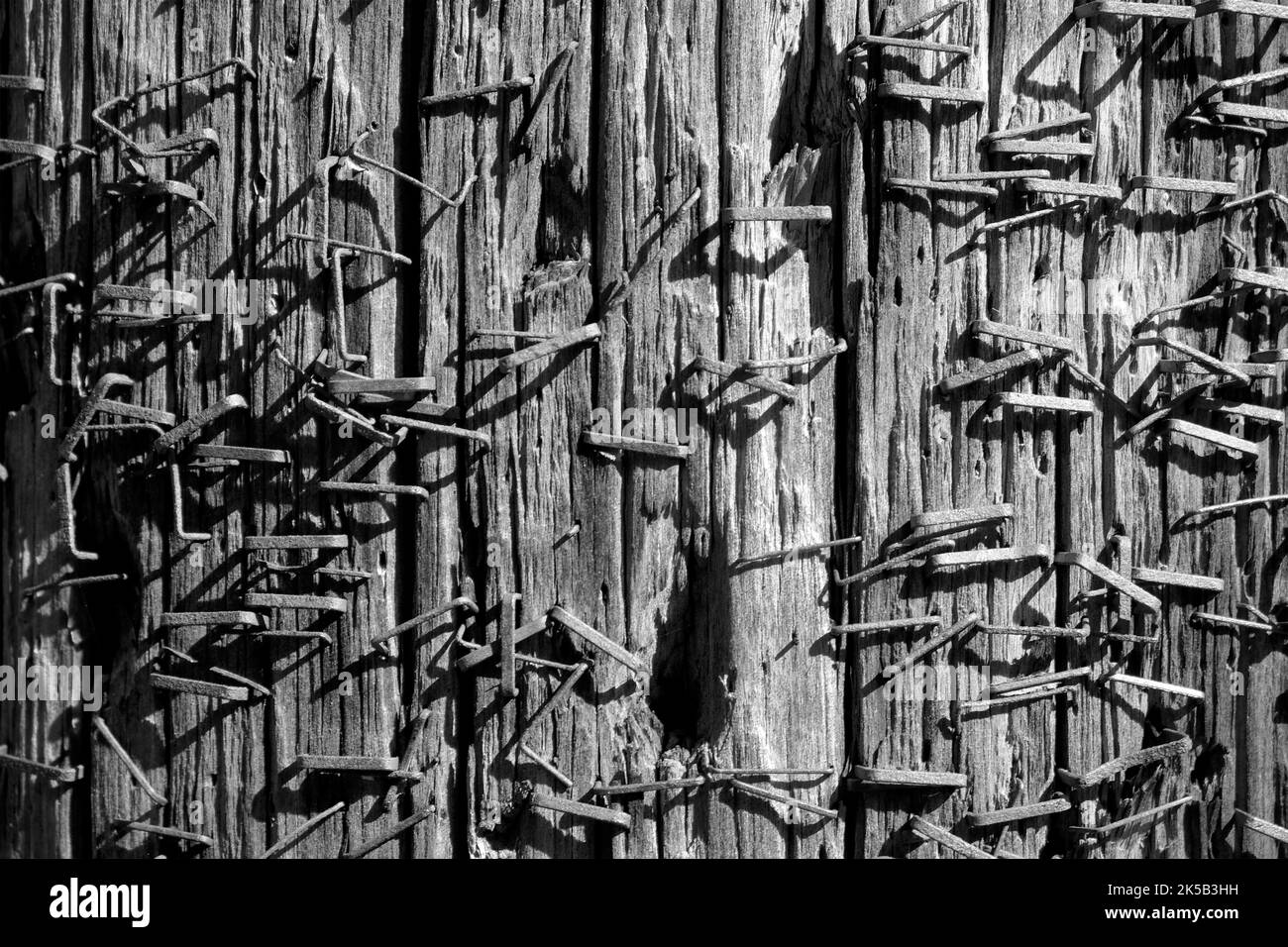 A grayscale close-up shot of stapler pins on the wall Stock Photo