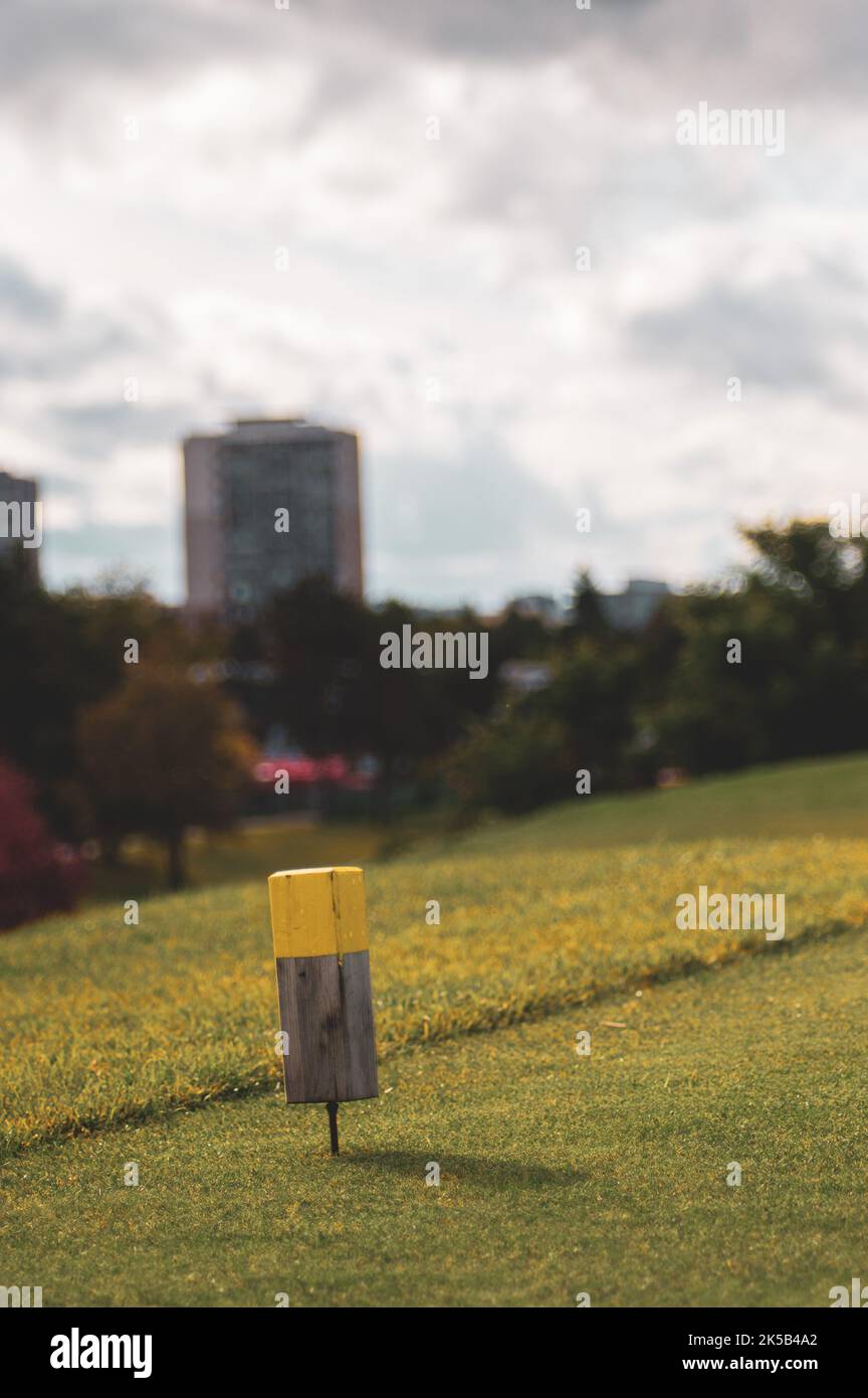 A vertical shallow focus shot of short wooden pole-like object in the ...