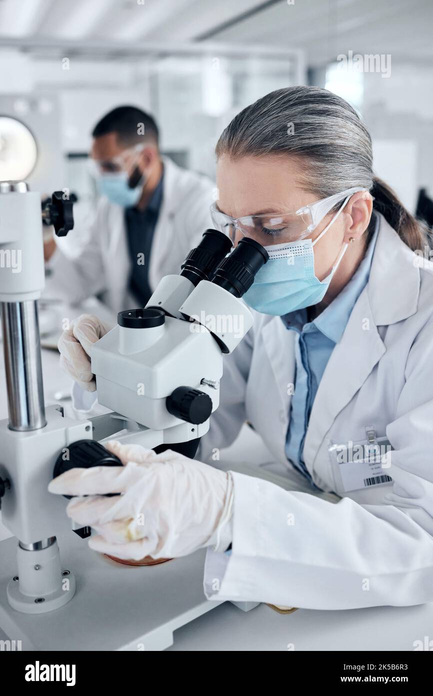 Innovation, covid and scientist woman with microscope and ppe for