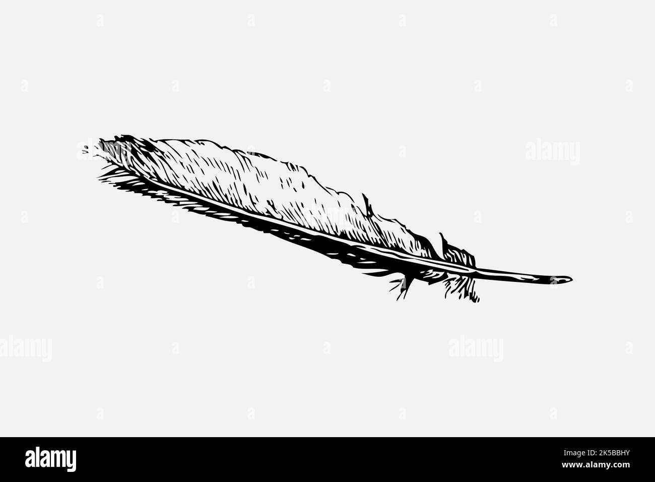 Quill Pen Clipart Vintage Illustration Vector Stock Vector Image Art quill-pen-clipart-vintage-illustration-vector-stock-vector-image-art