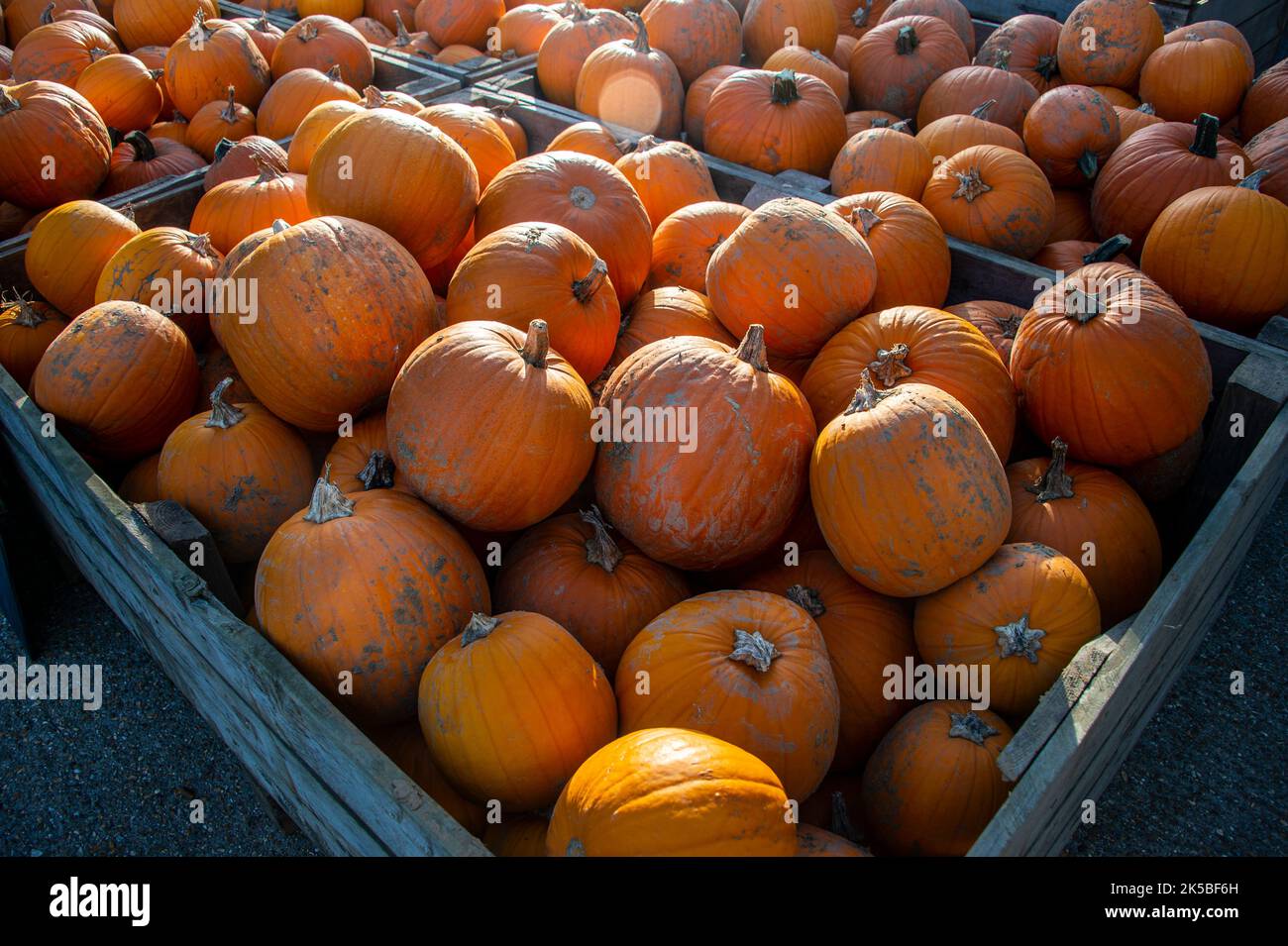 Large group sizes hi-res stock photography and images - Alamy