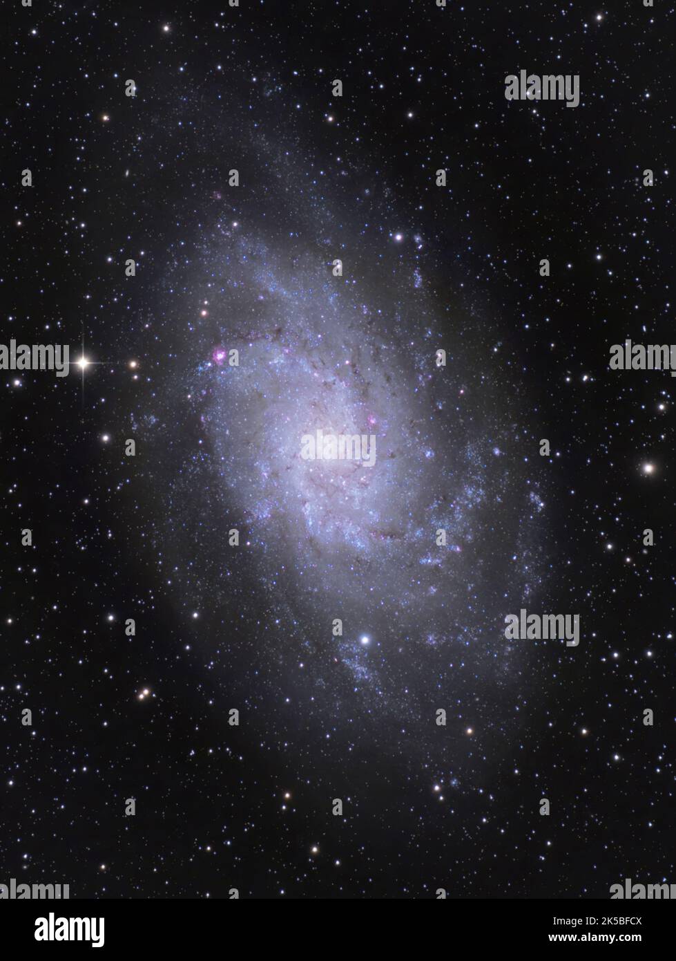 The Triangulum Galaxy (NGC 598) in the constellation Triangulum. Photographed from the UK Stock Photo