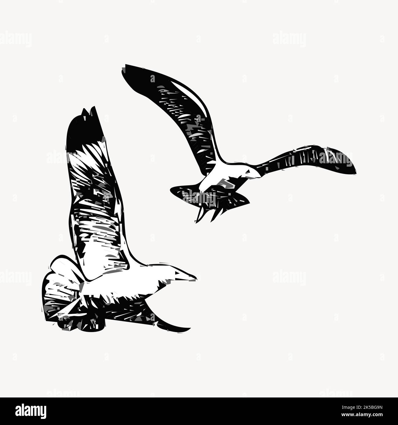 Flying birds drawing, illustration vector Stock Vector Image & Art Alamy