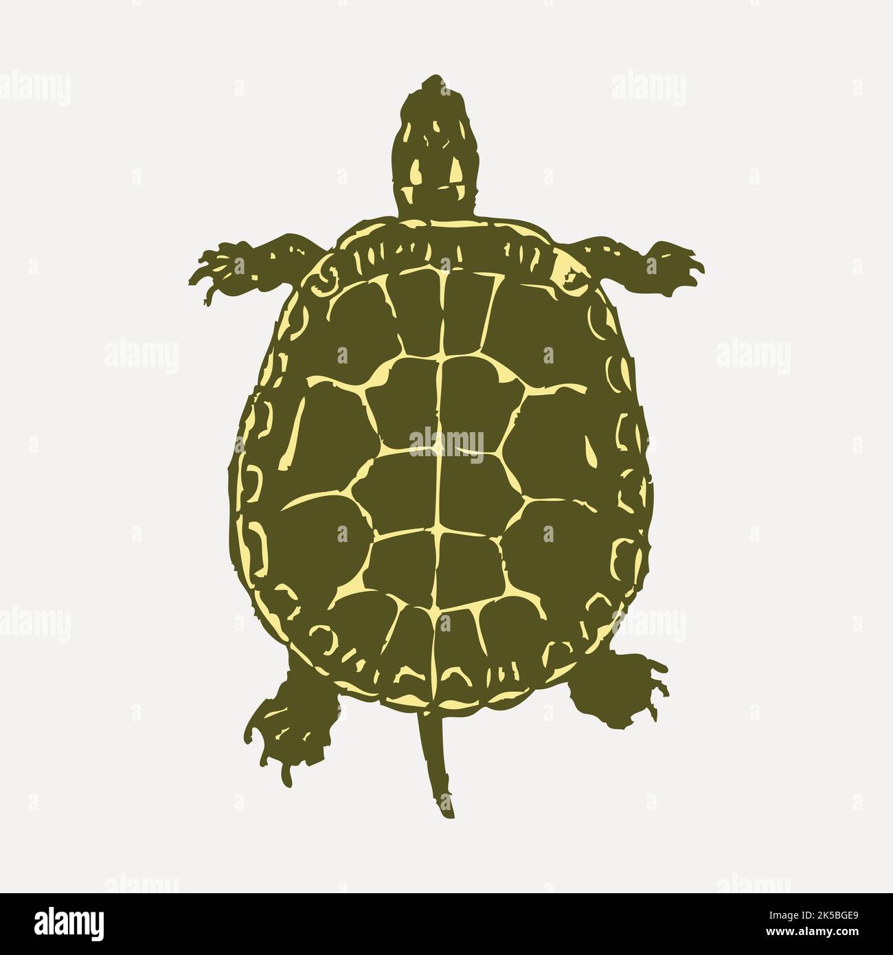 Turtle, animal clipart, illustration vector Stock Vector Image & Art ...