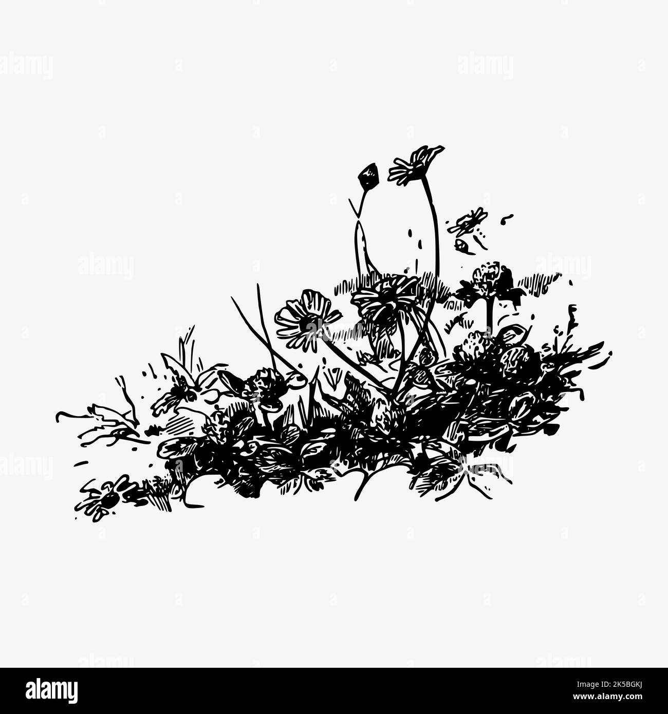 Flower collage element, drawing illustration vector Stock Vector Image