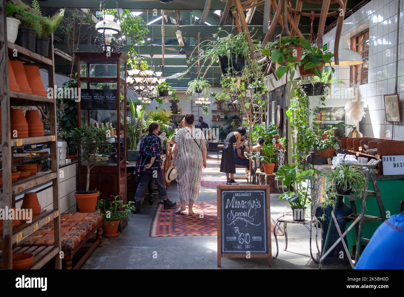 'Our Local' Restaurant on Kloof Street Cape Town, South Africa Stock