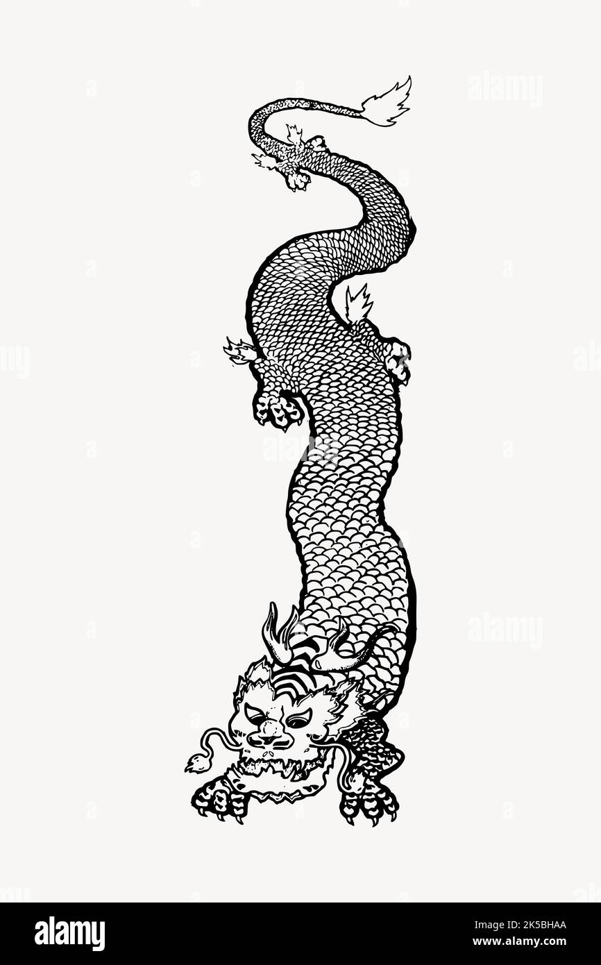 Chinese dragon drawing, illustration vector Stock Vector Image & Art