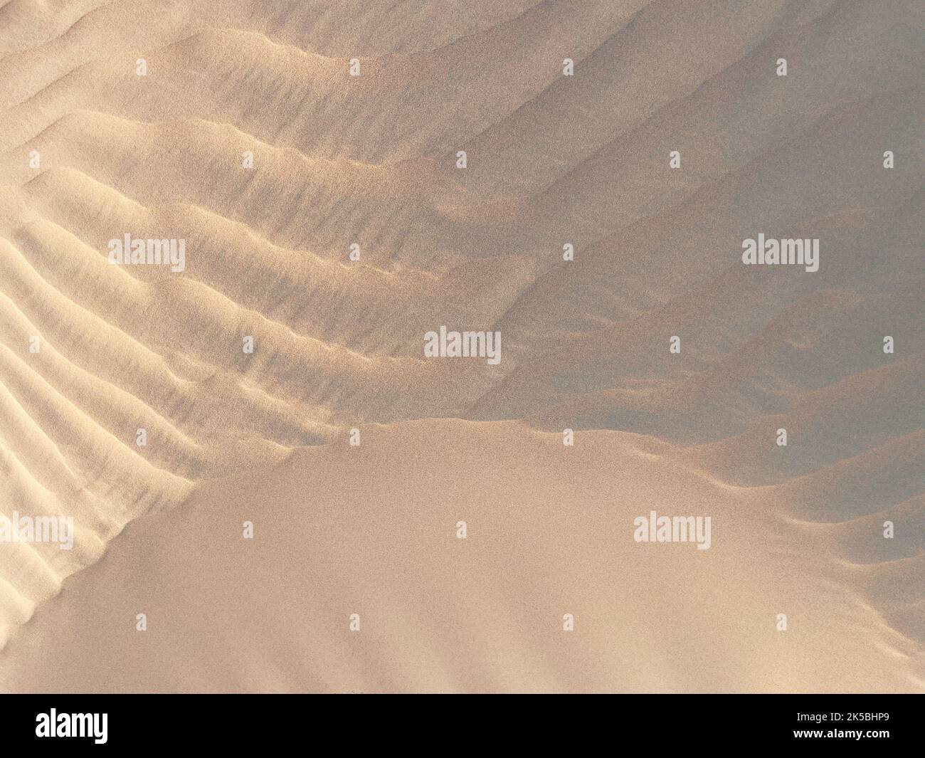 Natural pattern on a dune sand at sunset in desert Stock Photo