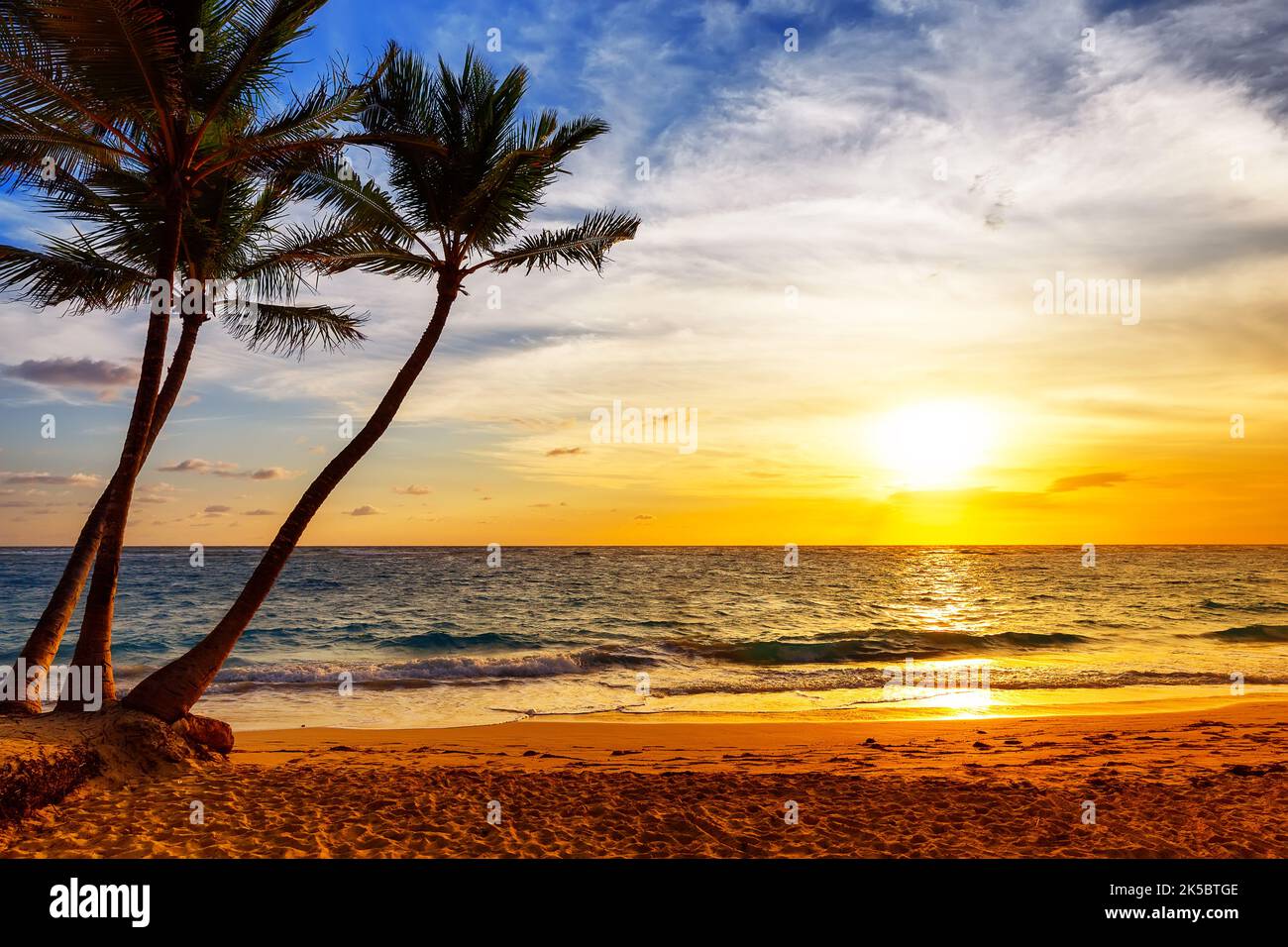 Silhouette of coconut palm trees against beautiful sunset on the tropical sea beach in Punta Cana, Dominican Republic. Stock Photo