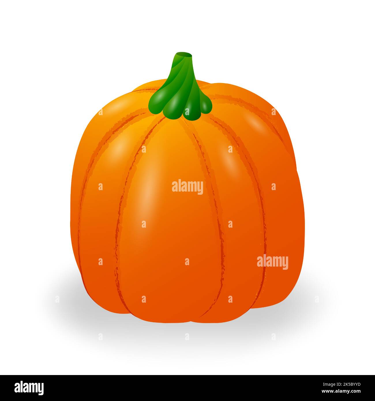 Orange pumpkin with stem. Isolated on a white background. Vector ...