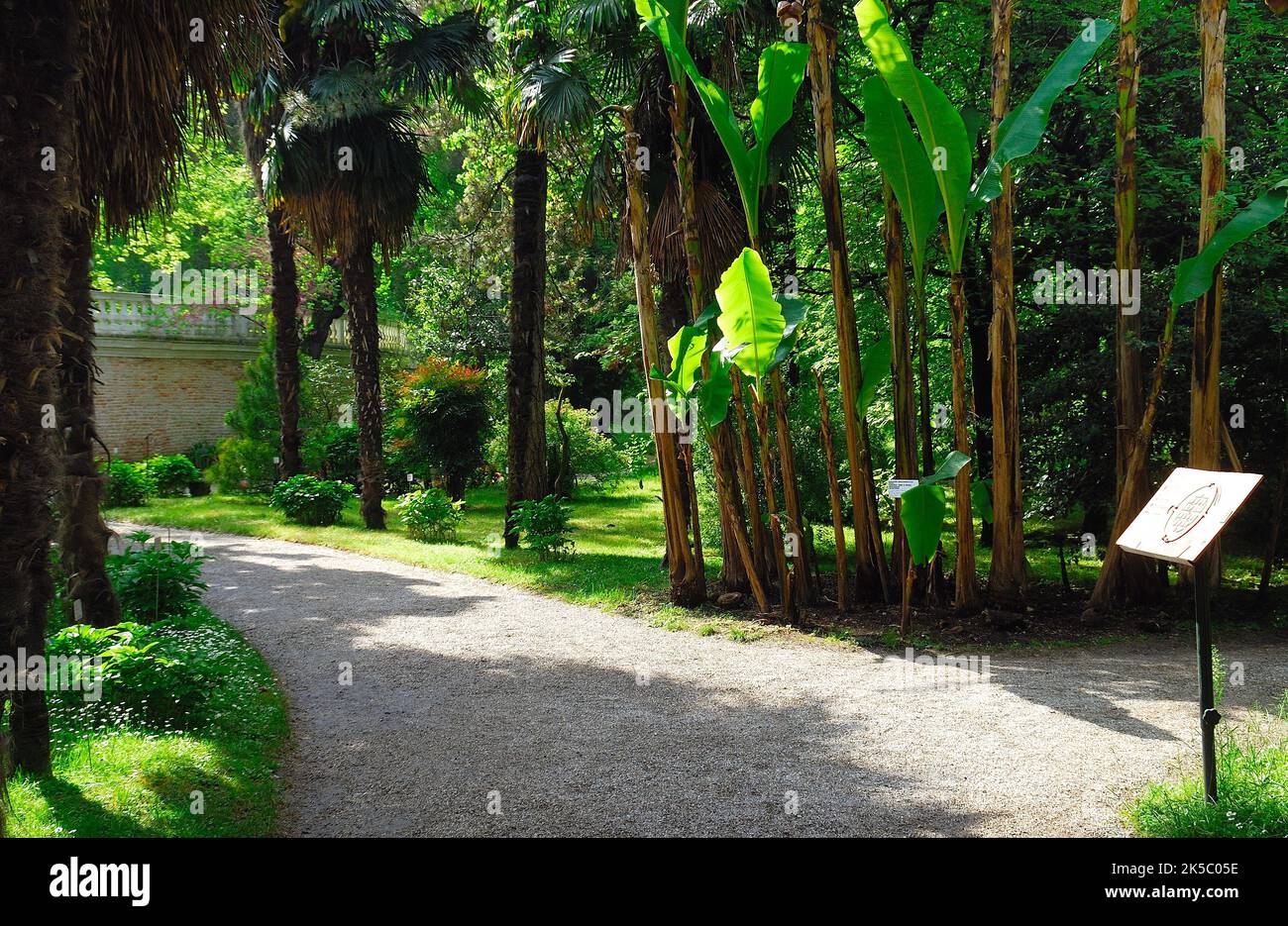 university of padua botanical garden
