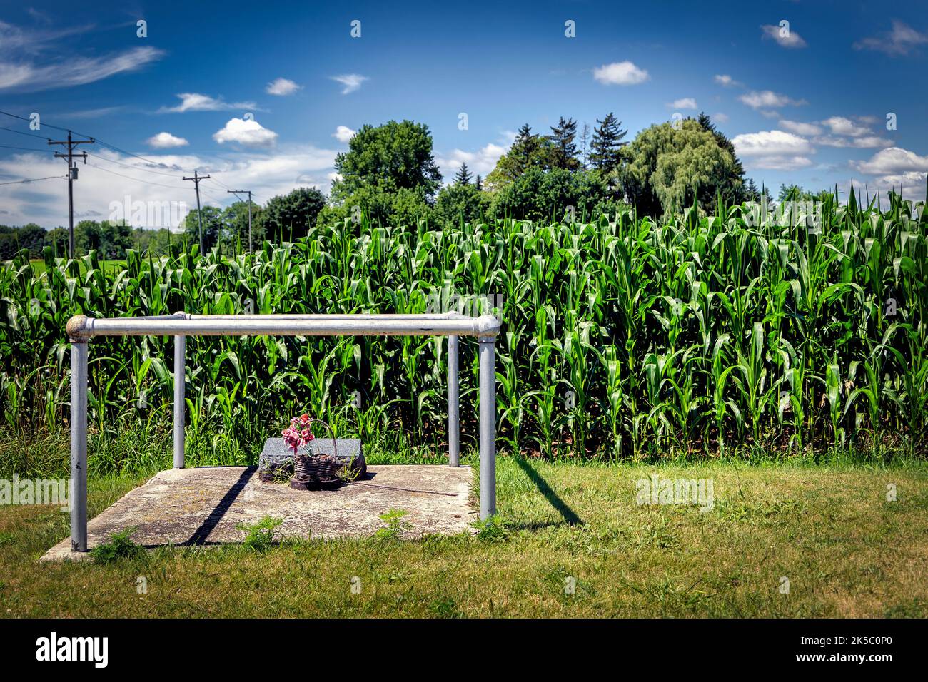 Dietrich & Anna Pleuss immigrated from Germany in 1849 and both died