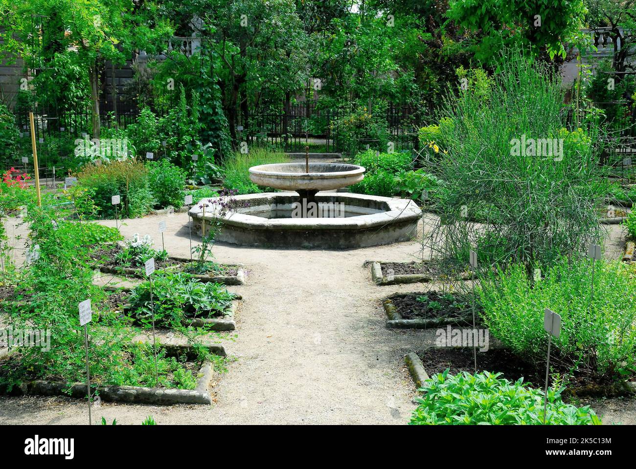 The University of Padua Botanical Garden. The Botanical Garden of the University of Padua was established in 1545 for the cultivation of medicinal plants. A fountain. Stock Photo