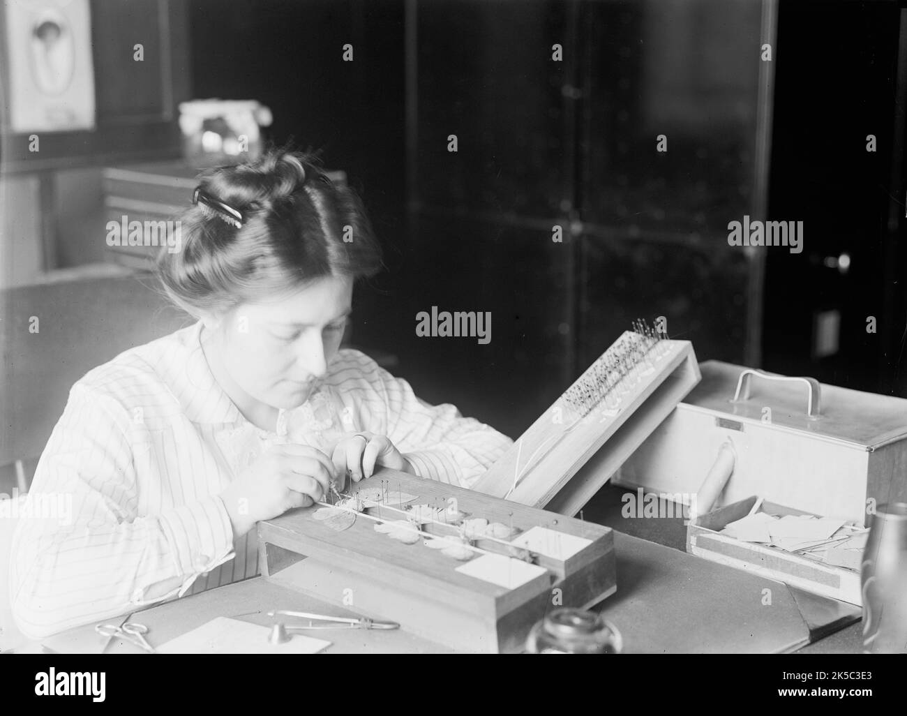 Butterfly specimens Black and White Stock Photos & Images Alamy