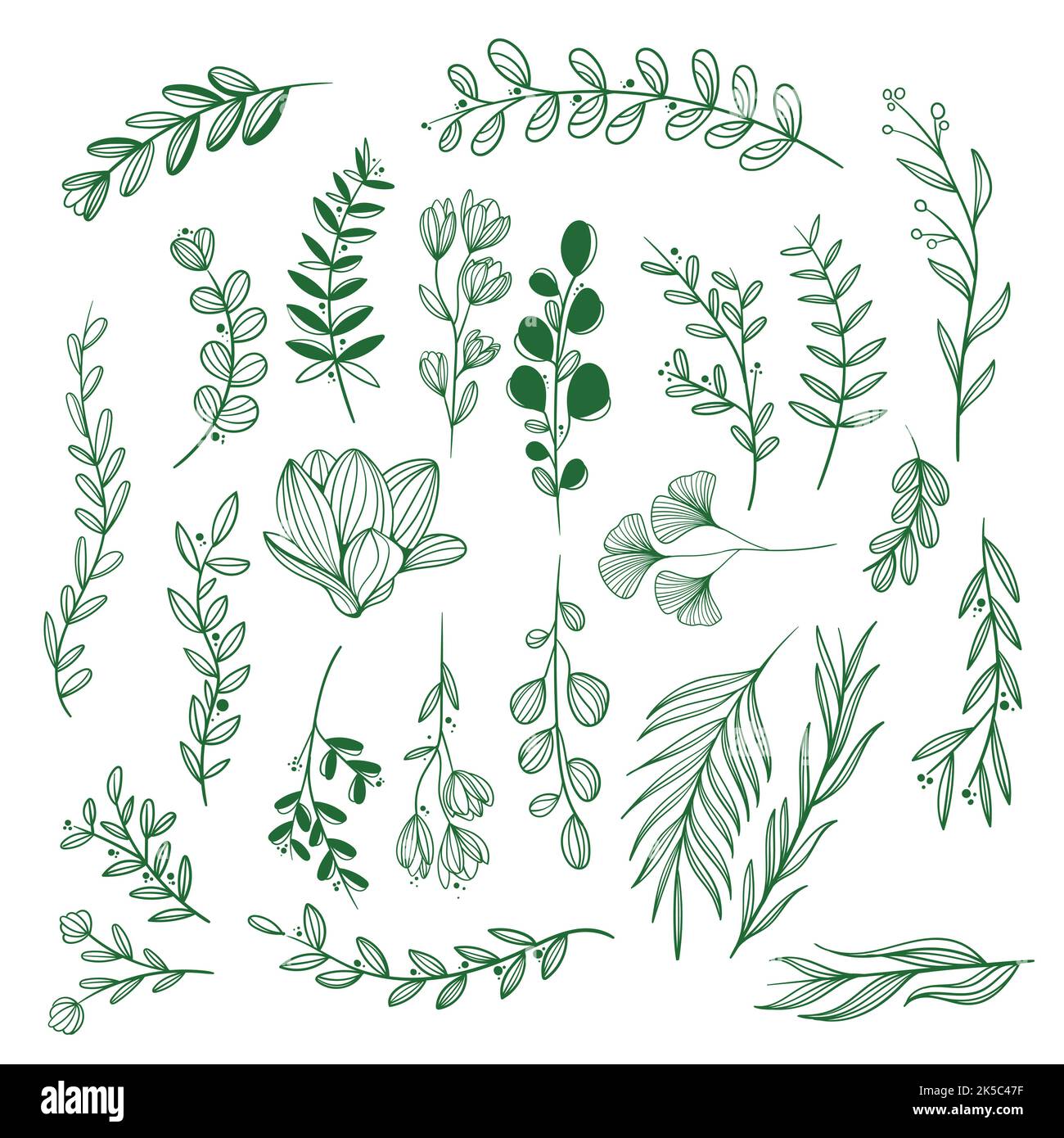 hand drawn wedding ornaments collection vector design illustration ...