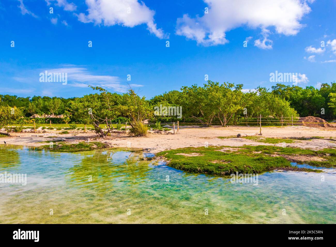 Small beautiful Cenote cave with river and turquoise blue water at Punta Esmeralda beach in