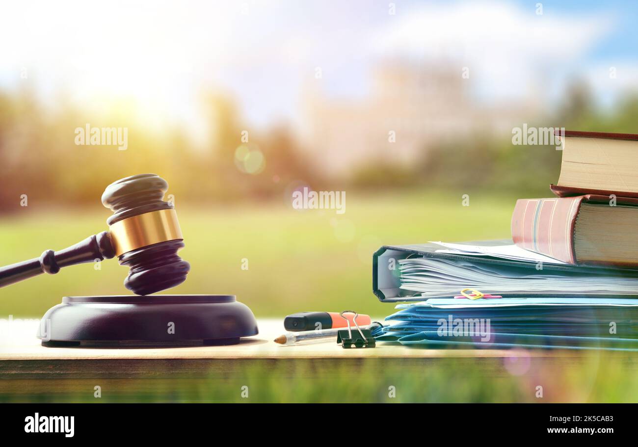 Law study material on wooden bench outside on college campus with books, notes, and judge's gavel. Front view. Stock Photo