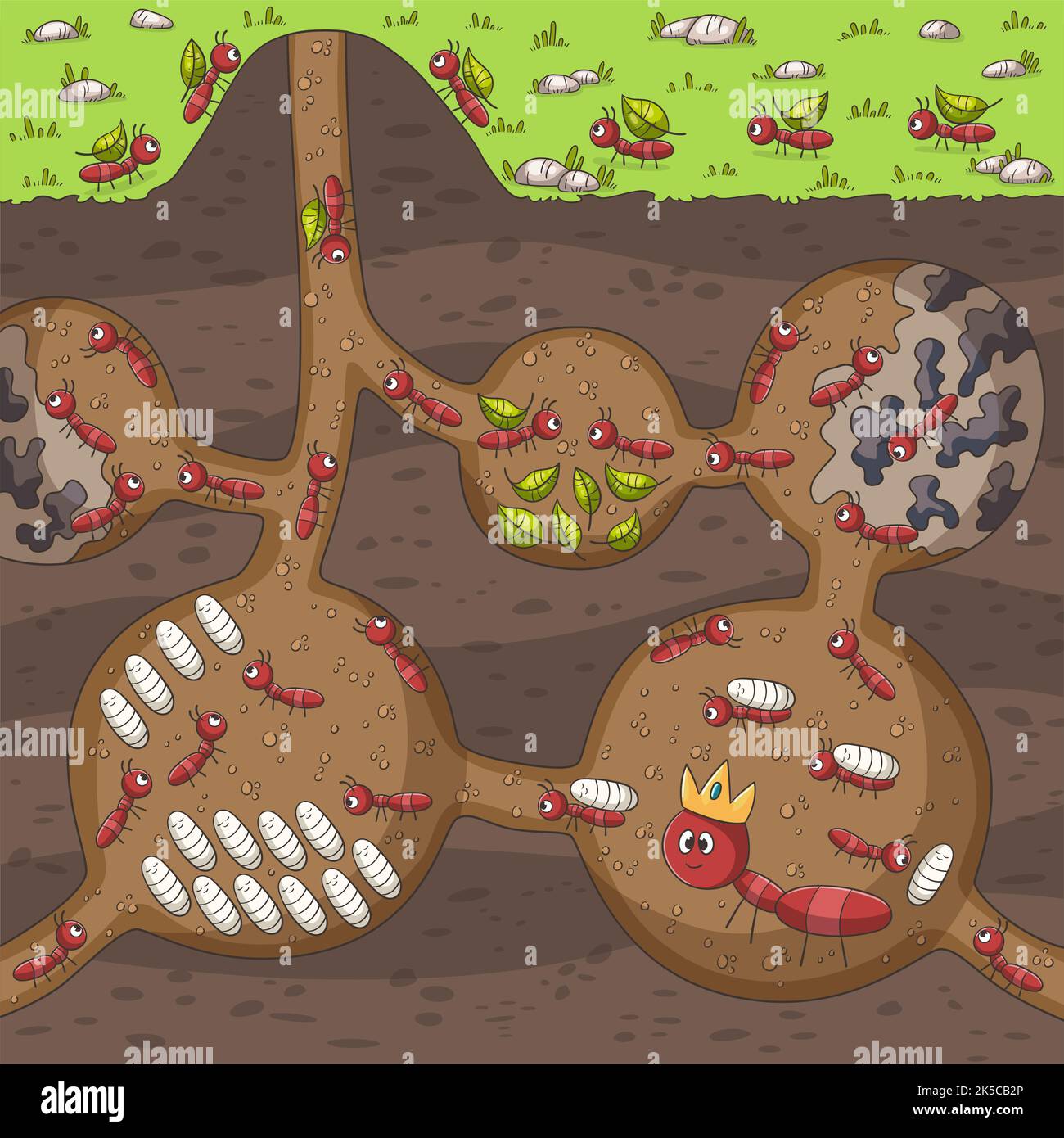 Ants in their nest. Stock Photo