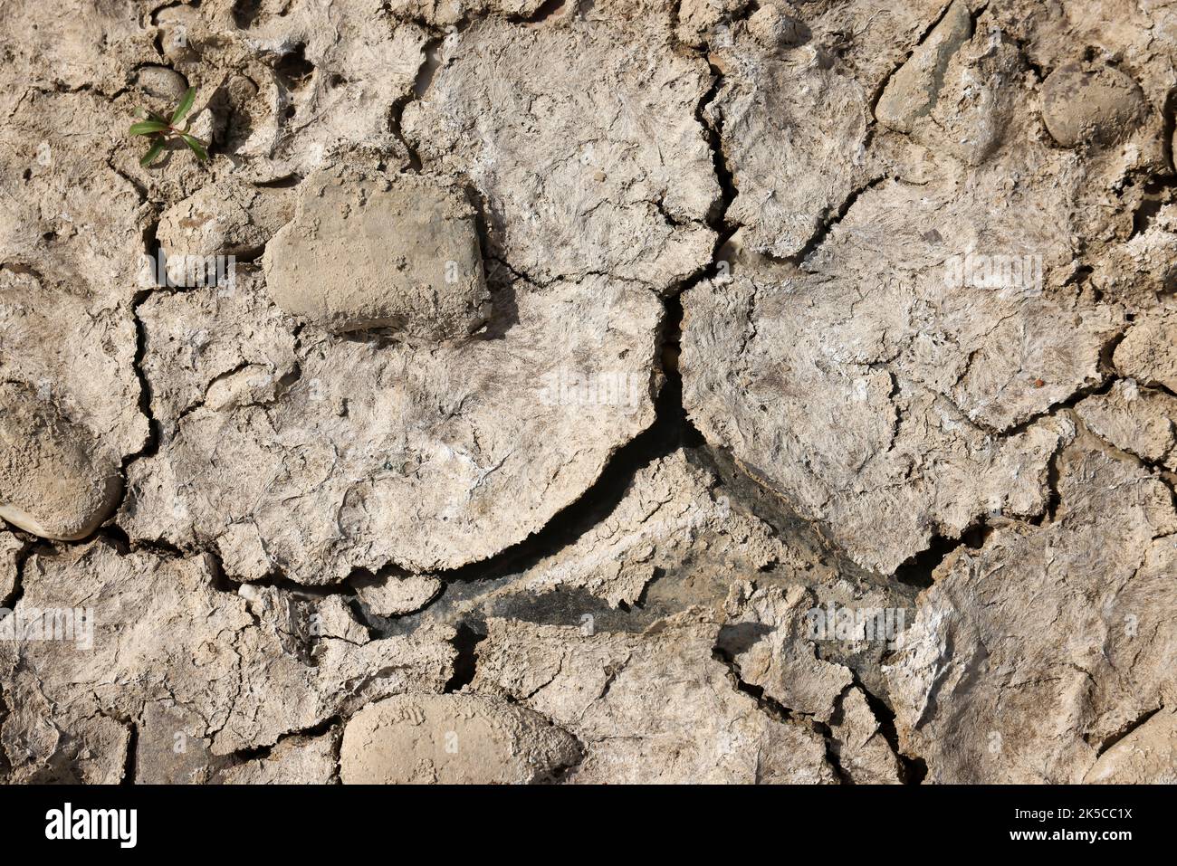 Dry riverbed in the Rhine, Düsseldorf, North Rhine-Westphalia, Germany Stock Photo