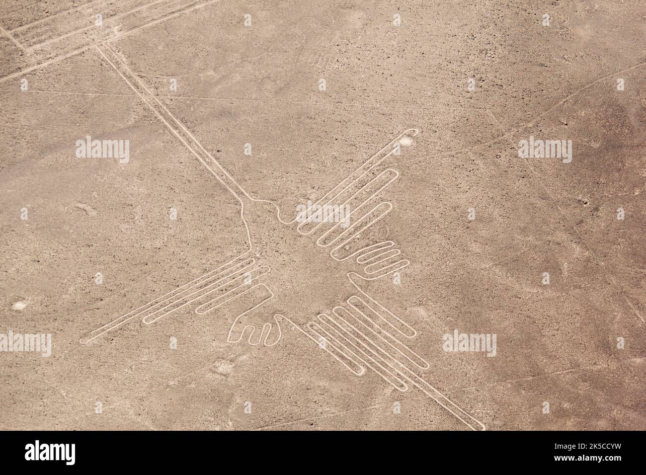 Nazca Lines, The Huming Bird Stock Photo