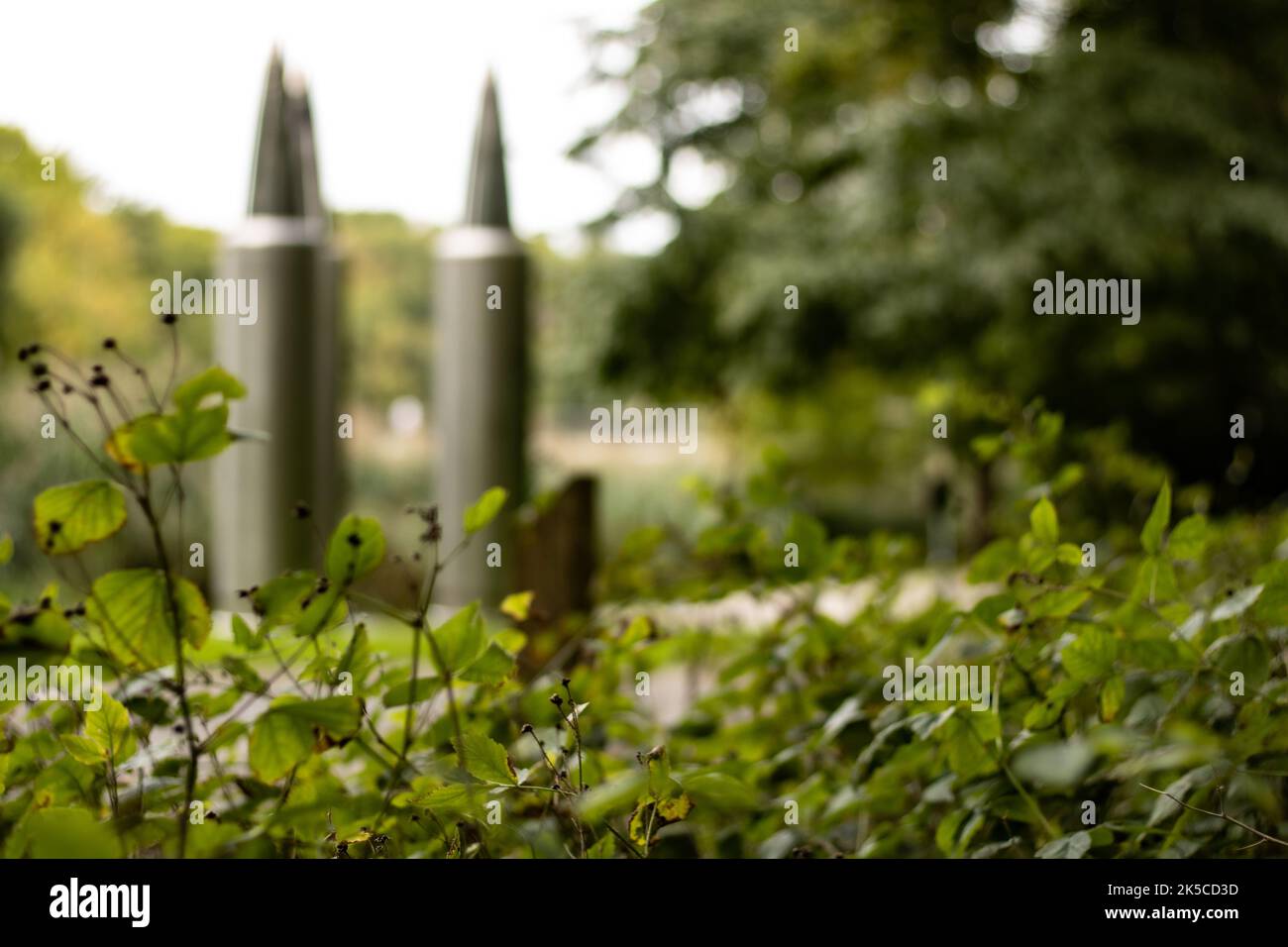 Green leafy trees and shrubs in the park Stock Photo - Alamy