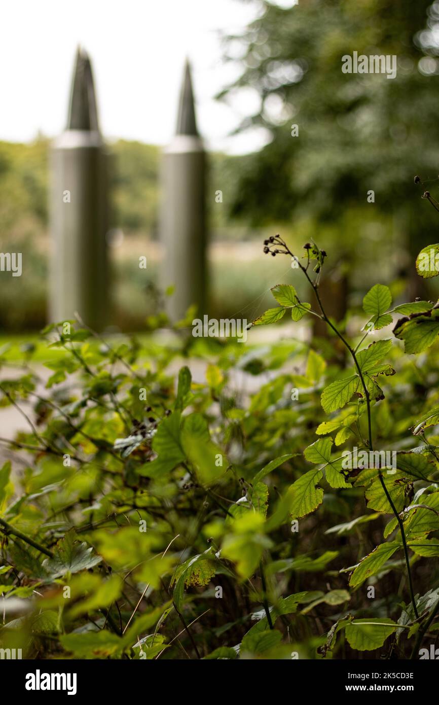 Green leafy shrubs in summer park Stock Photo - Alamy