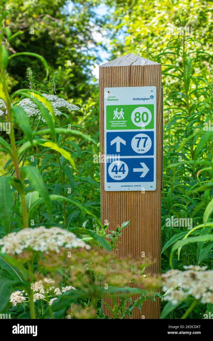 Signposts in the Hautes Fagnes, Benelux, Benelux countries, Ardennes, High Fens-Eifel Nature Park, Hautes Fagnes, Wallonia, Wallonia, Belgium, België Stock Photo