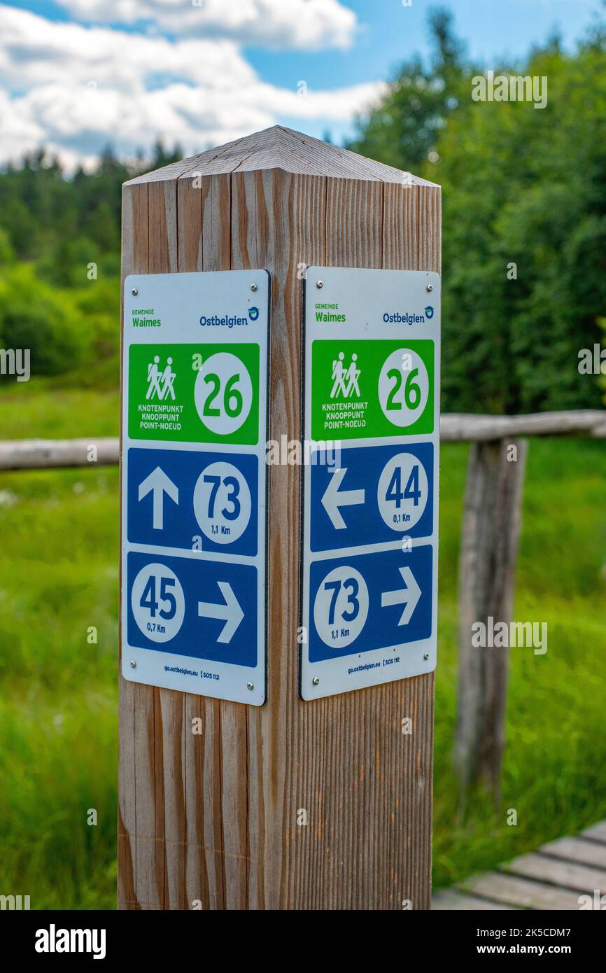 Signposts in the Hautes Fagnes, Benelux, Benelux, Ardennes, High Fens-Eifel Nature Park, Hautes Fagnes, Wallonia, Wallonia, Belgium, België Stock Photo