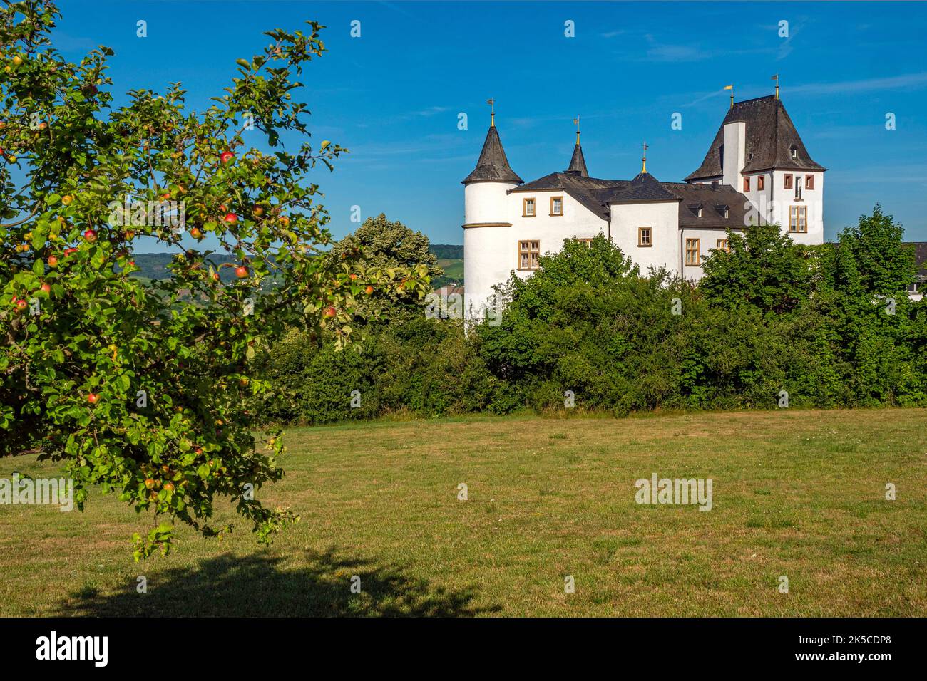 Victor's Residenz Hotel Schloss Berg, Nennig on the Upper Moselle, Moselle Valley, Moselle, Saarland, Germany Stock Photo