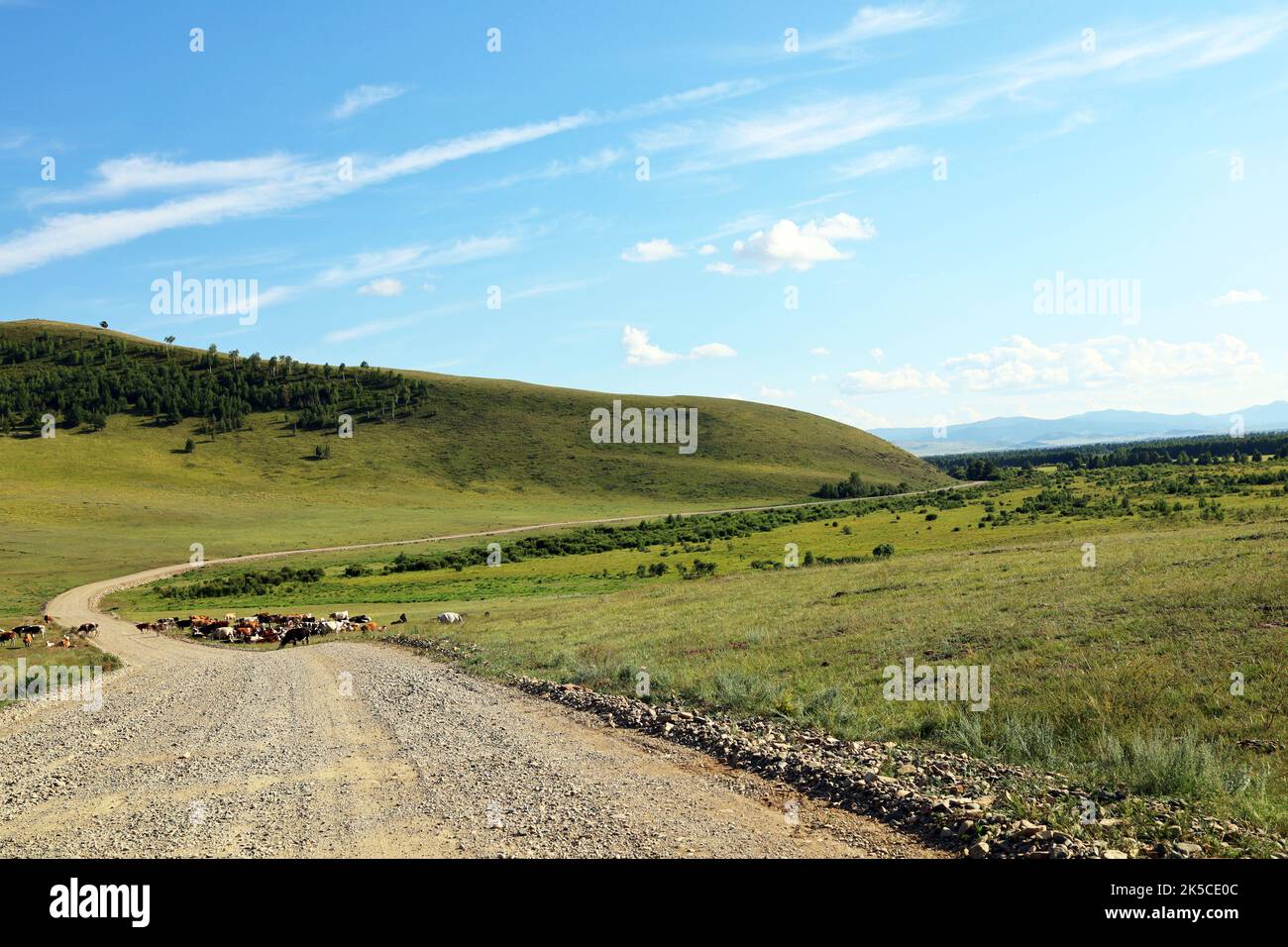 Asphalt road going over the horizon on a sunny day Stock Photo