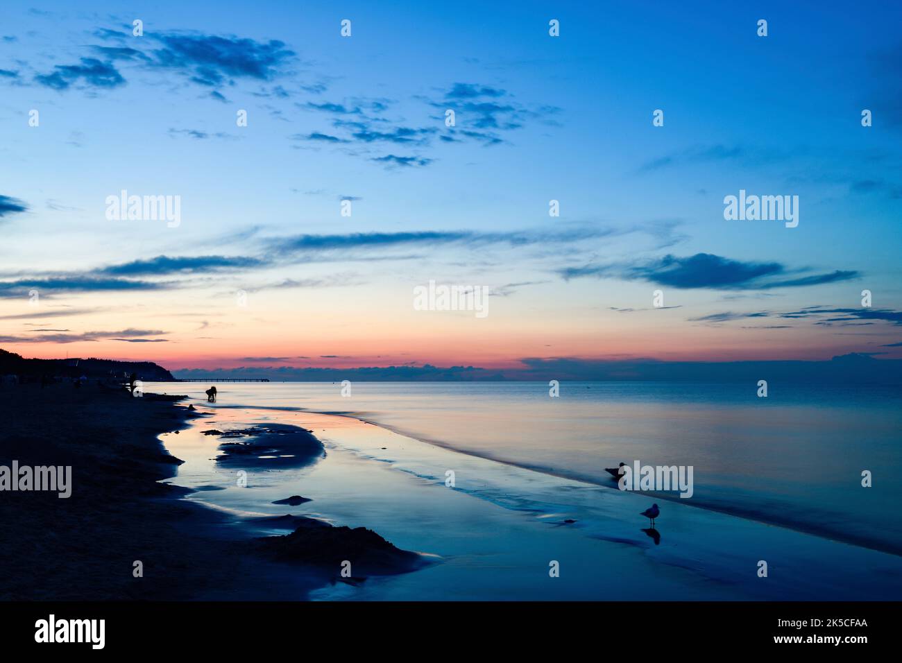 Baltic Sea beach with surf at blue hour in summer Stock Photo