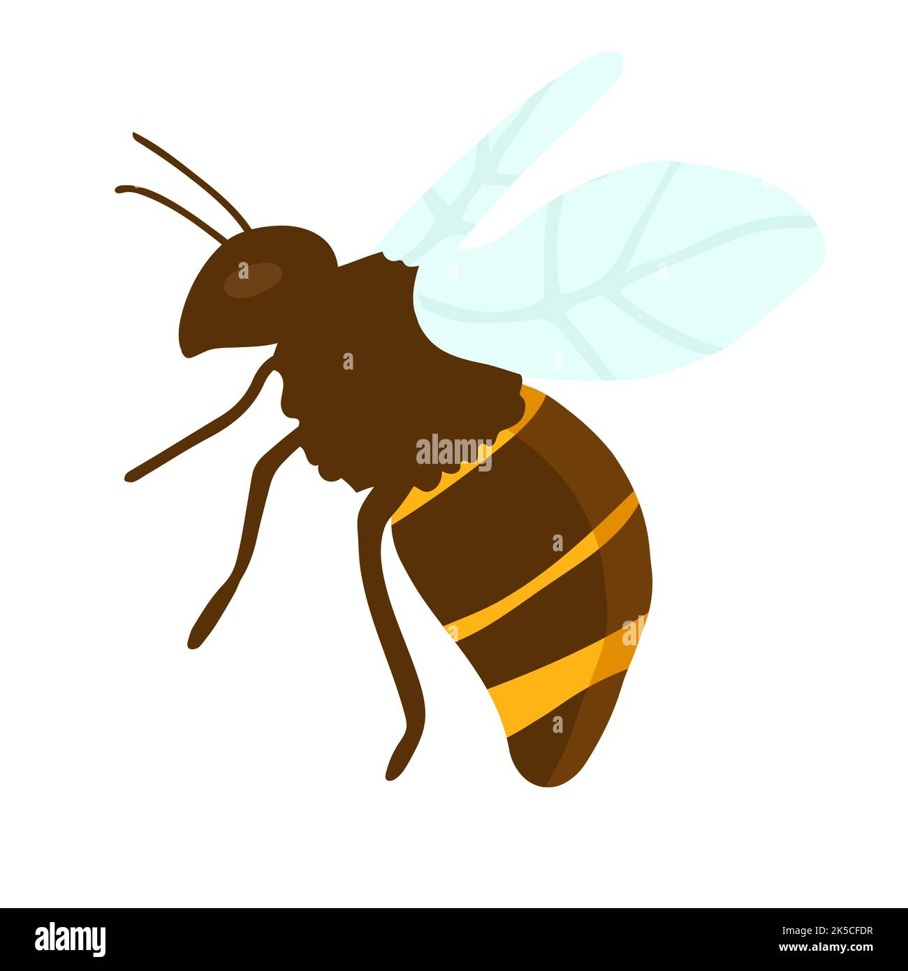 Vector engraving illustration of honey bee on white background hand ...