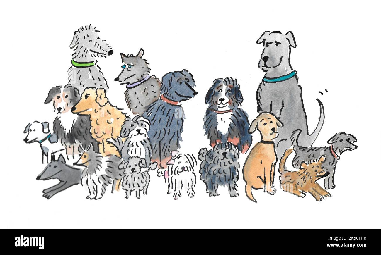 Illustration, different dogs, group Stock Photo - Alamy