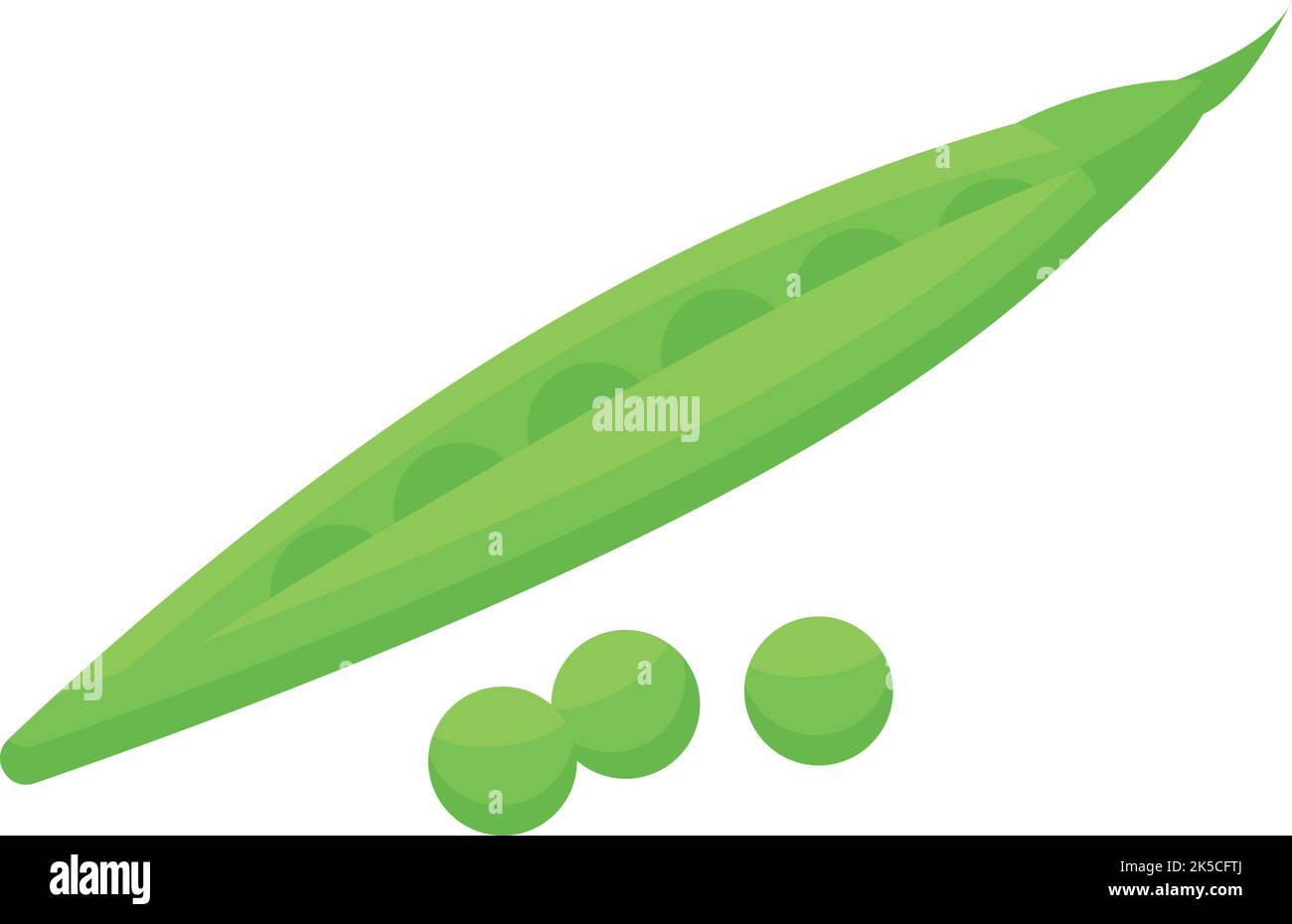 Green bean zinc icon isometric vector. Vitamin zn. Nutrition supplement