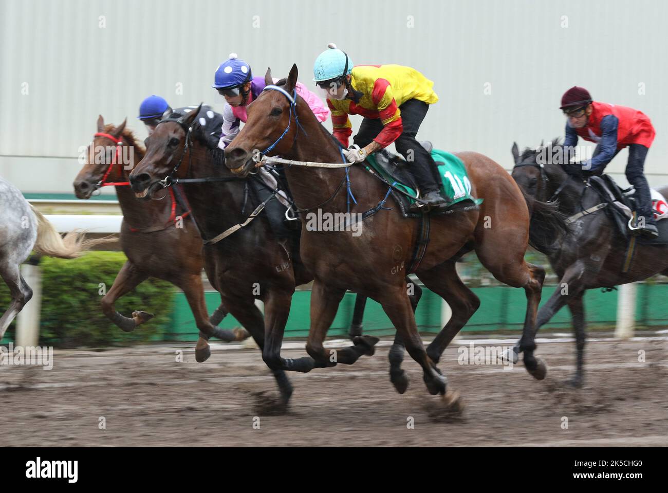 GALAXY WITNESS (110), ridden by Matthew Chadwick, won the barrier trial