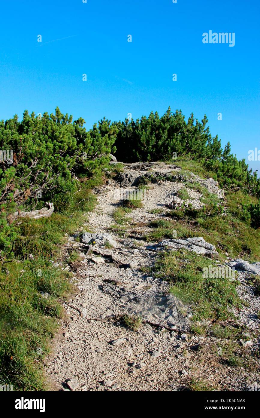 Hike to Wörner Saddle, Karwendel Mountains, nature, mountains, sun, path, Mittenwald, Upper Bavaria, Alpenwelt Karwendel, Germany Stock Photo