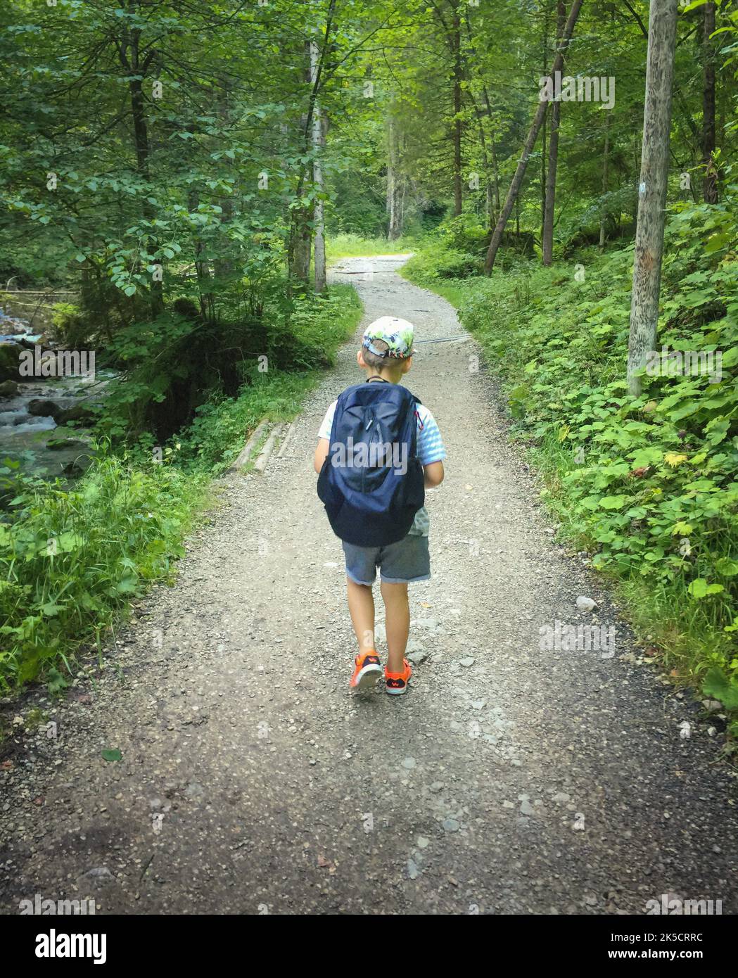 Boy with backpack alone on a forest path, back view Stock Photo Alamy
