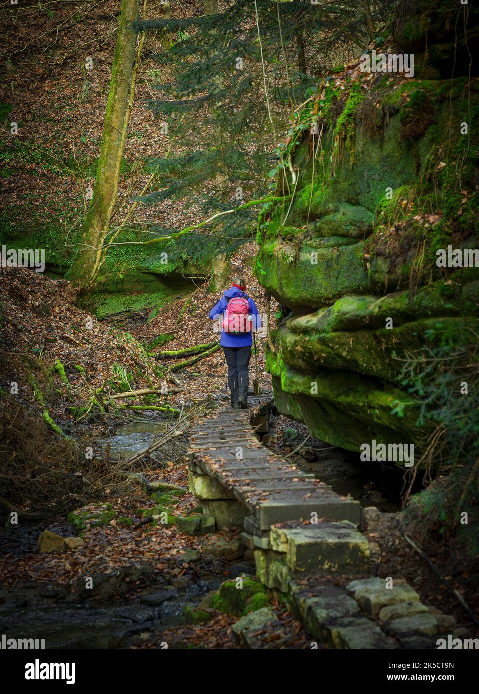 Hiker in nature hi-res stock photography and images - Alamy