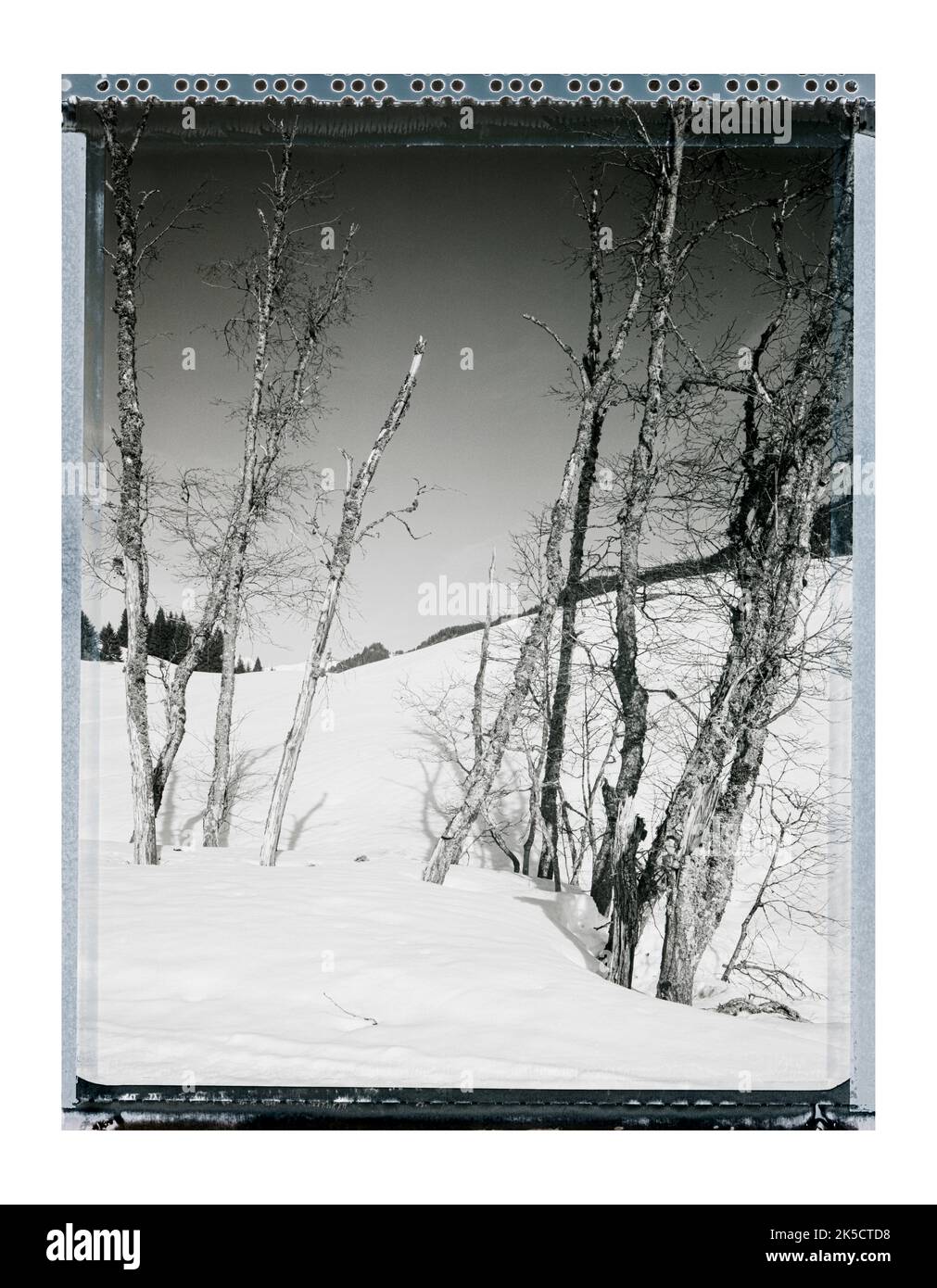 Landscape polaroid Stock Photo