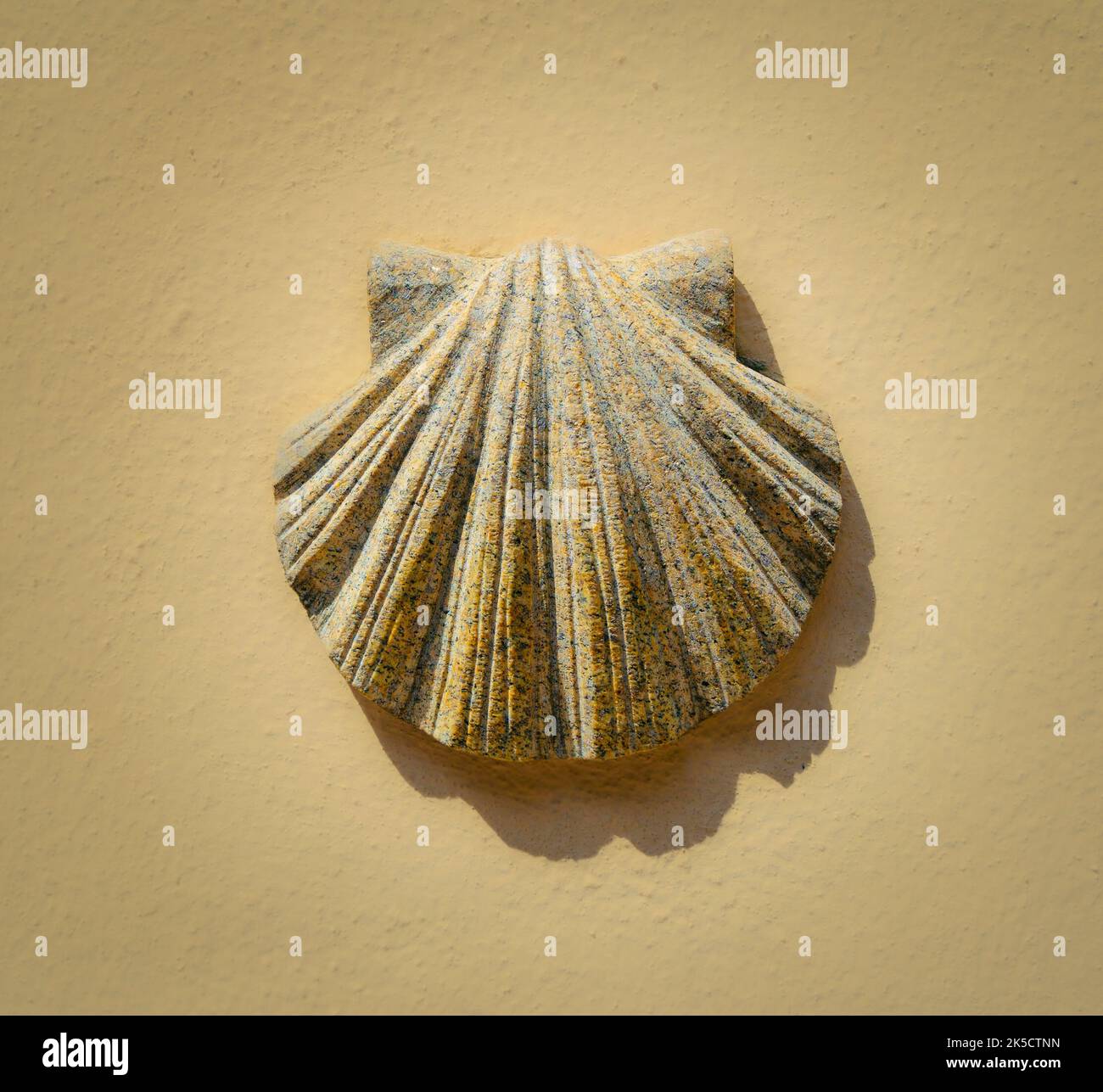 Scallop shell, sign for the Way of St. James Stock Photo