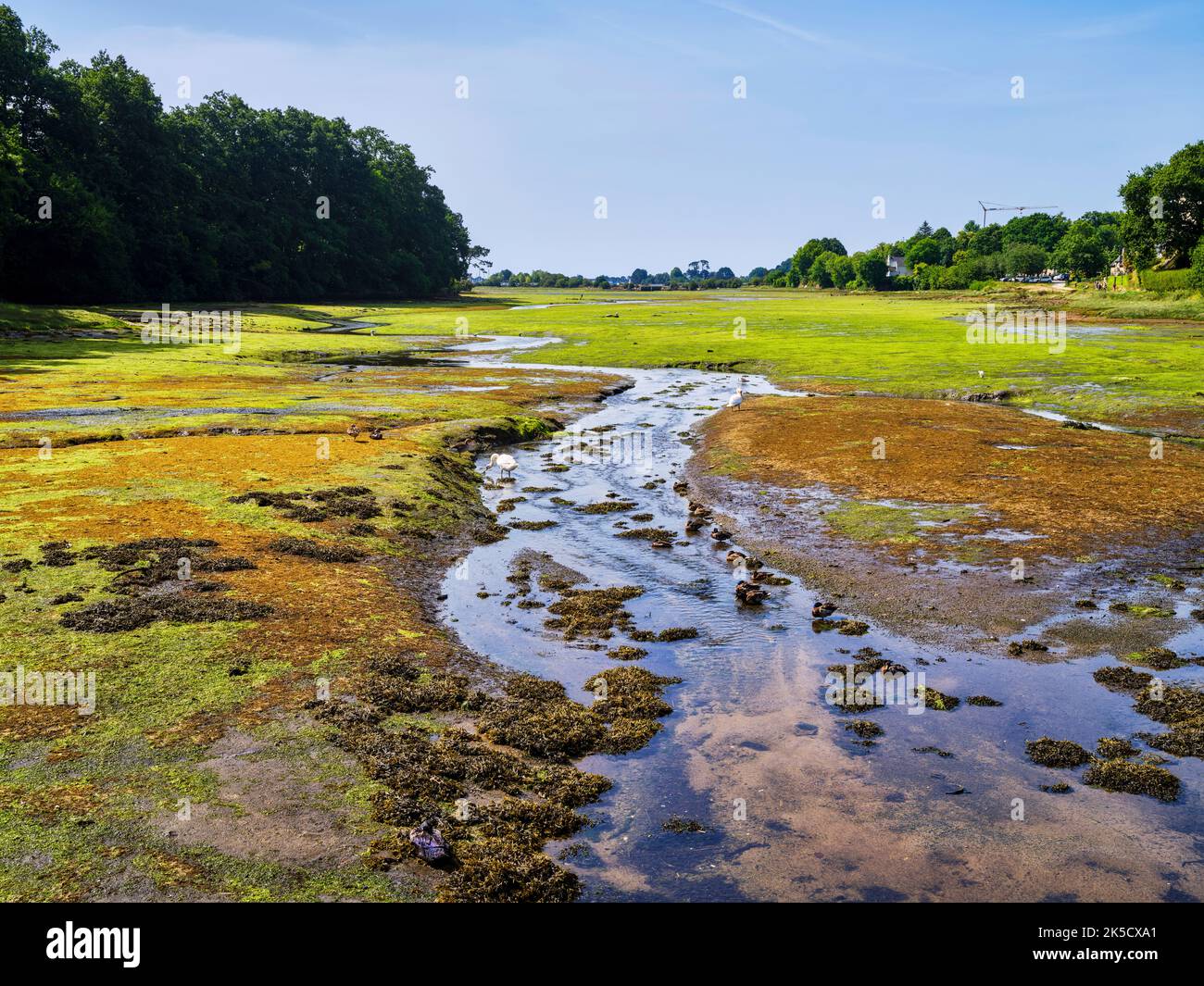 At low tide at the bay of Baie de la Forêt, Brittany, France Stock ...