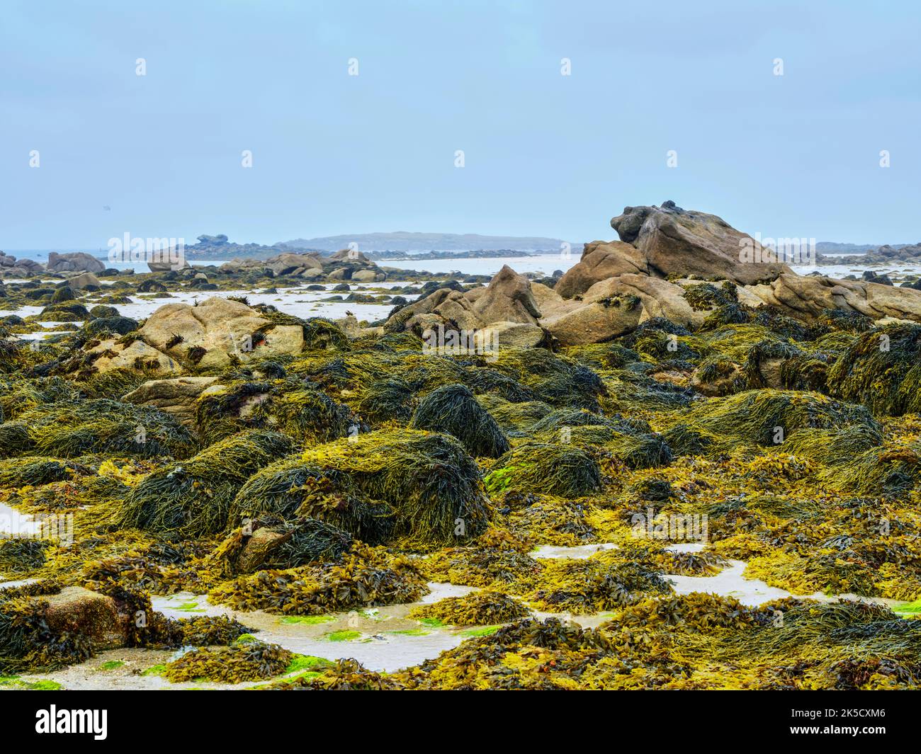 Low tide at Landeda beach, Brittany, France Stock Photo