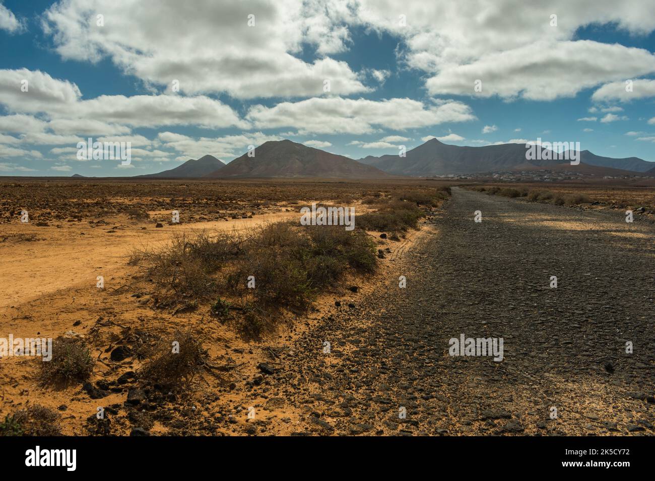 A typical desertic enviroment of Fuerteventura island Stock Photo