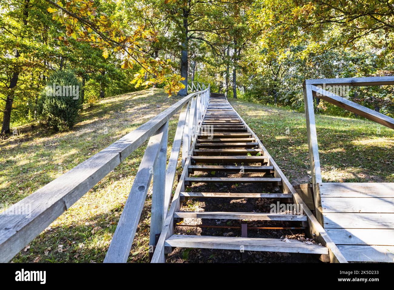 Wooden stairs going up on the hill and forest Stock Photo