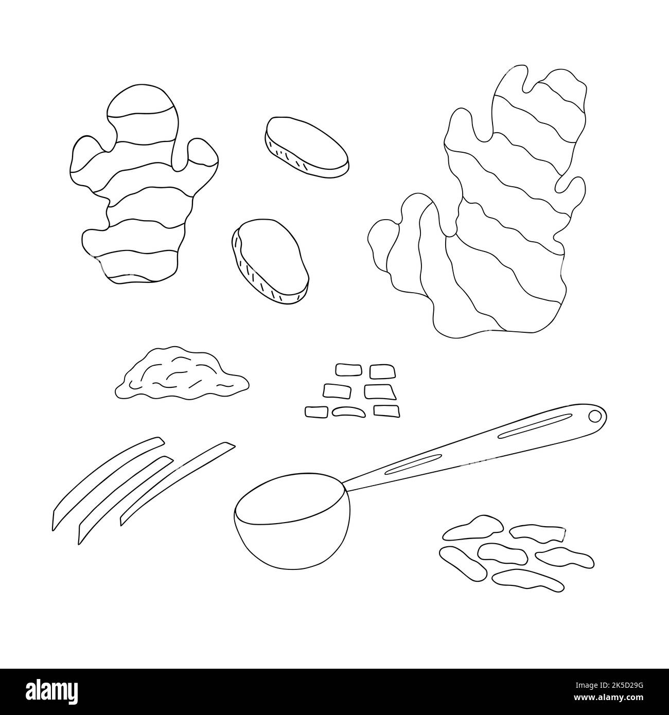 Ginger root, whole, slices and powder in spoon set simple outline vector illustration, Japanese traditional spice culinary ingredient Stock Vector