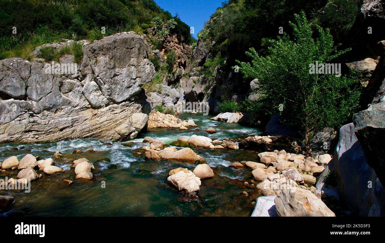 Italy, Sicily, Madonie National Park, stream, rocks, stones, trees, gorge Stock Photo