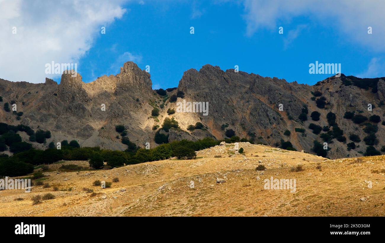 Italy, Sicily, Madonie National Park, autumn, yellow hill, jagged mountain range, blue sky with white clouds Stock Photo